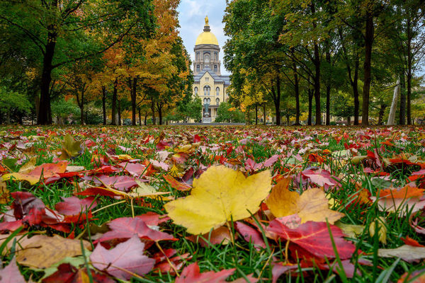 Golden Dome in Fall